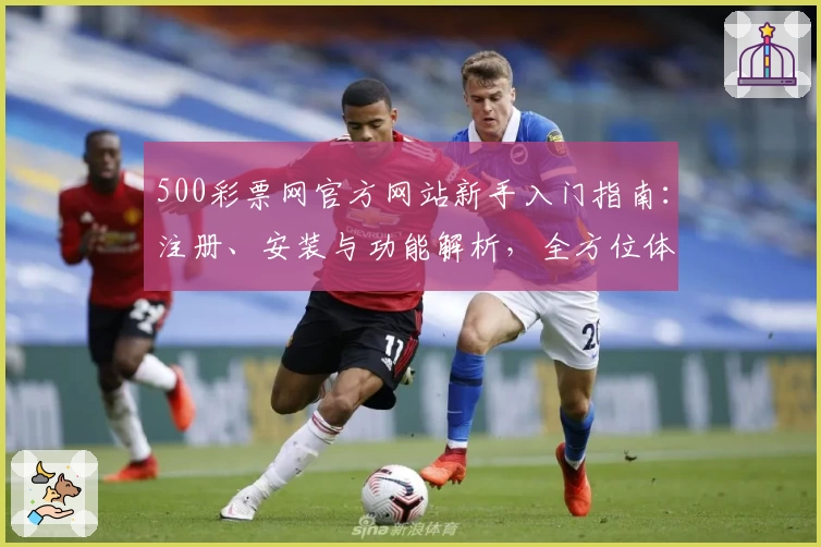 500彩票网官方网站新手入门指南：注册、安装与功能解析，全方位体验便利服务