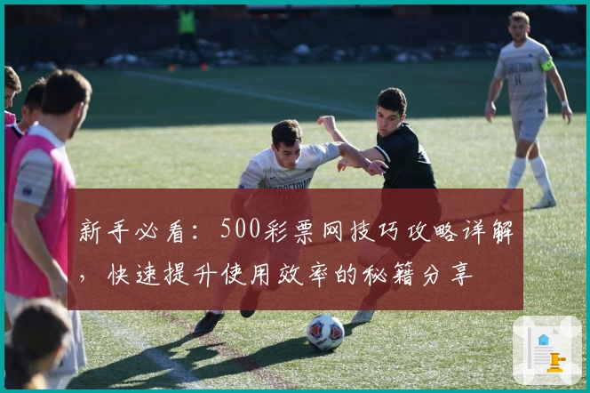 新手必看：500彩票网技巧攻略详解，快速提升使用效率的秘籍分享
