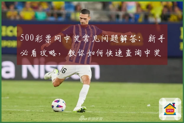 500彩票网中奖常见问题解答：新手必看攻略，教你如何快速查询中奖结果